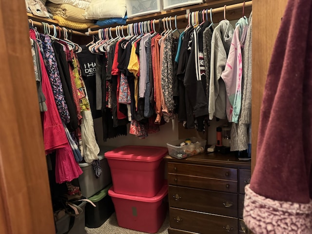 view of spacious closet