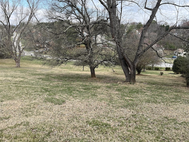 23 Upland Dr, Salem, VA 24153 - view of grassy yard