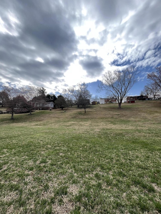 23 Upland Dr, Salem, VA 24153 - view of green lawn