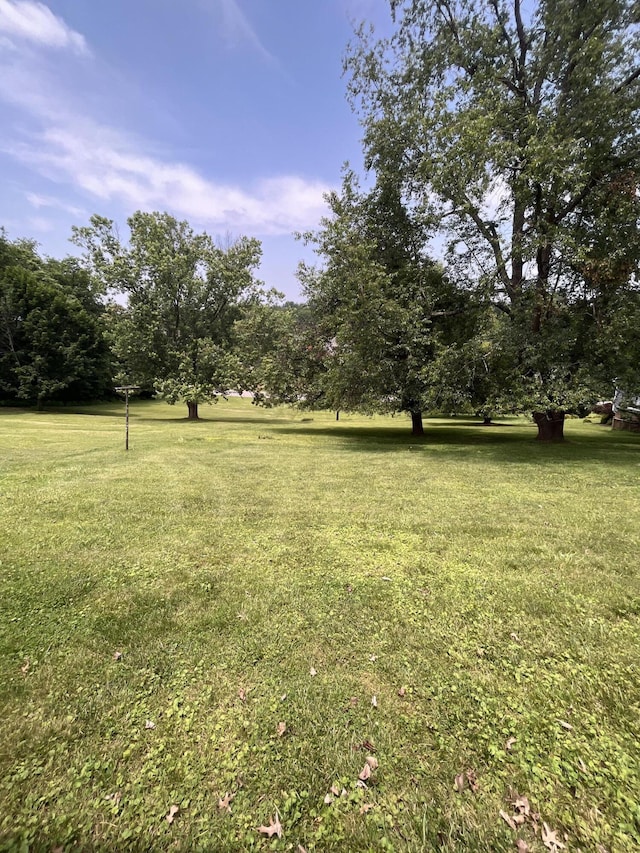 23 Upland Dr, Salem, VA 24153 - view of grassy yard