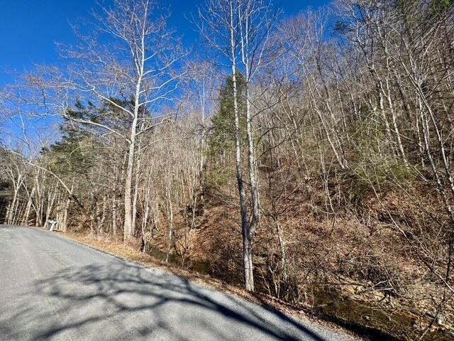 Listing photo 3 for 0 Ogle Creek Rd, Covington VA 24426