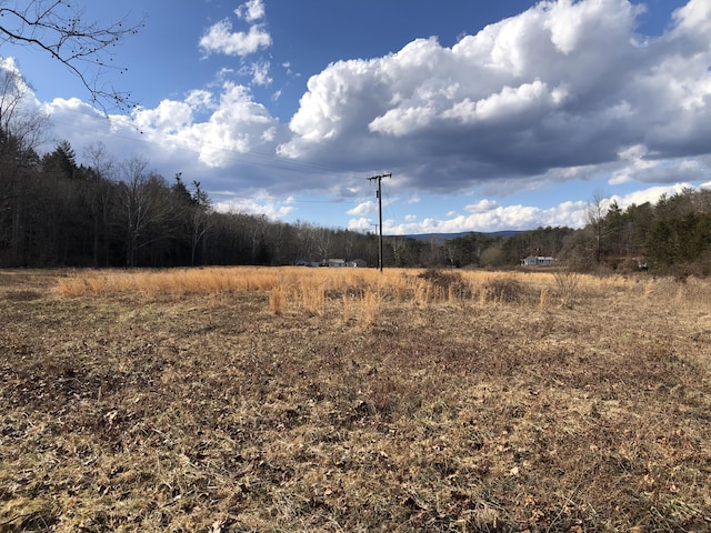 000 Bennington Ln, Clifton Forge VA, 24422 land for sale