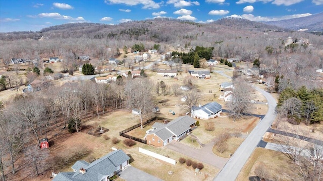 birds eye view of property with a mountain view