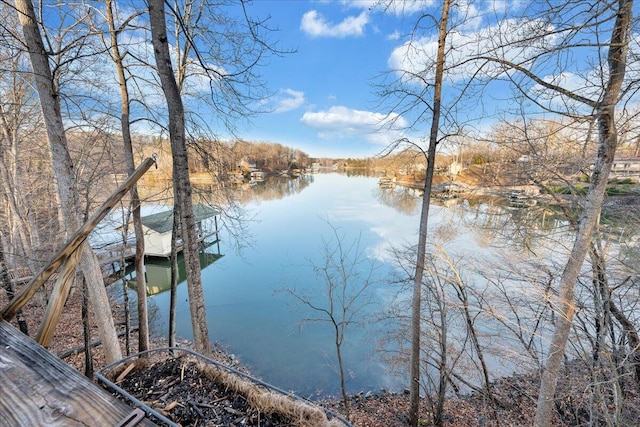 view of water feature featuring a boat dock