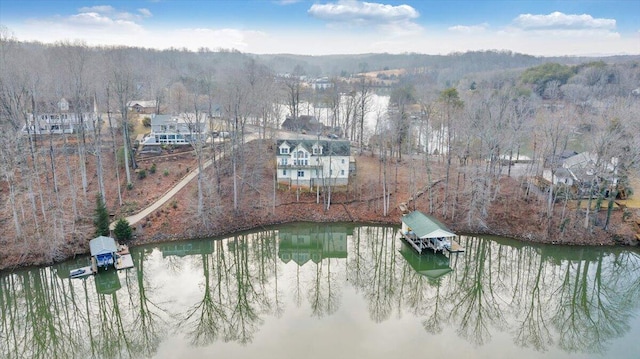 aerial view with a water view and a view of trees