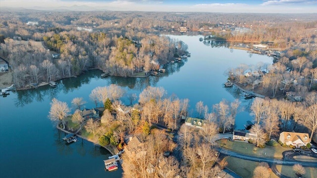 aerial view featuring a view of trees and a water view