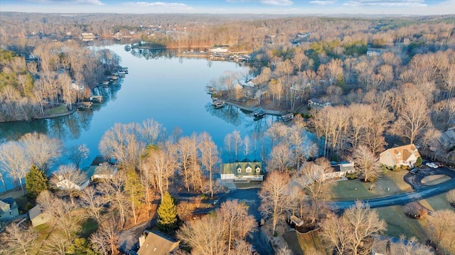 birds eye view of property with a view of trees and a water view