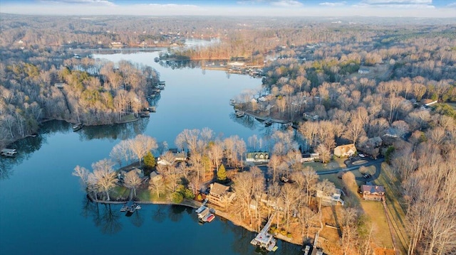 aerial view featuring a view of trees and a water view