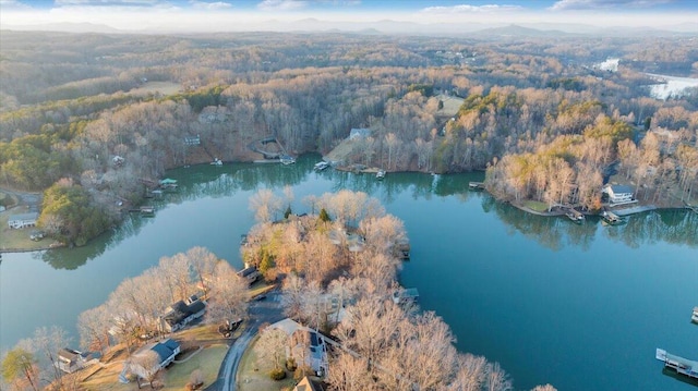 bird's eye view featuring a wooded view and a water view