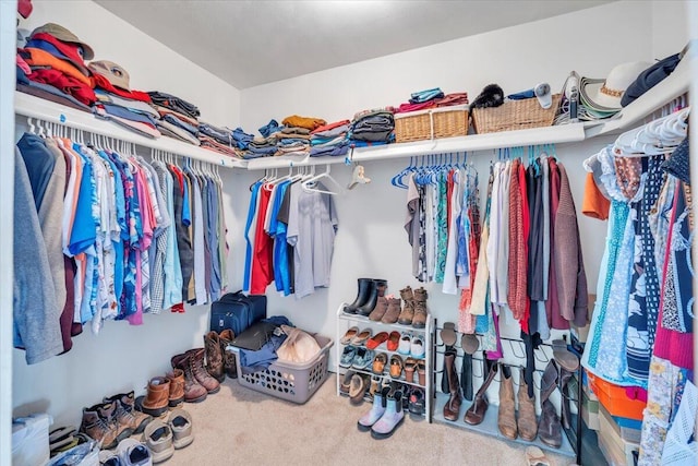 walk in closet with carpet floors