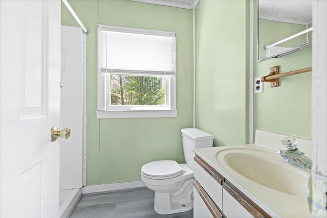 bathroom featuring toilet, vanity, and wood finished floors