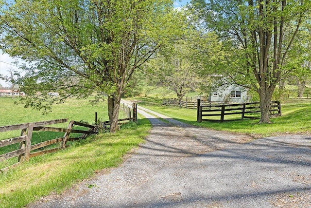 view of road with driveway