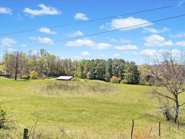 view of yard with a rural view and a forest view