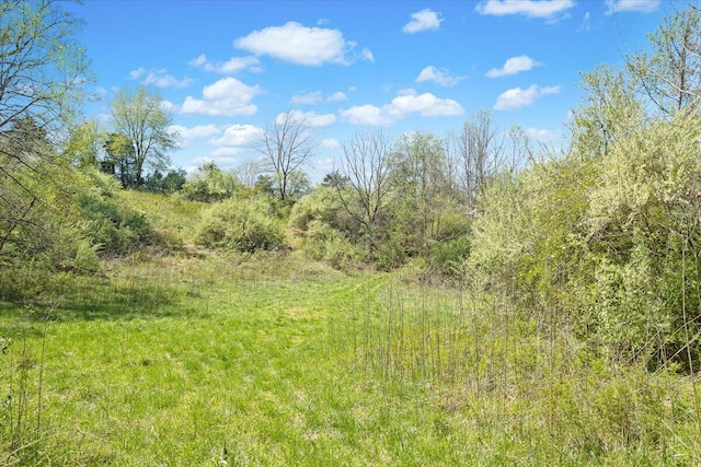 view of landscape