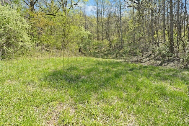 view of local wilderness featuring a view of trees