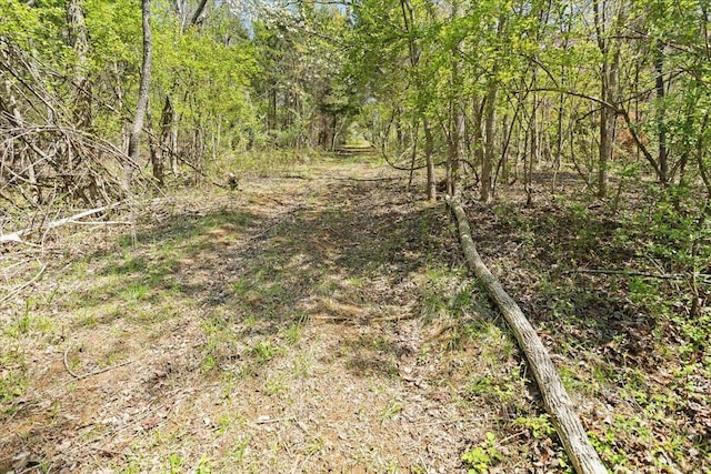 view of landscape featuring a view of trees