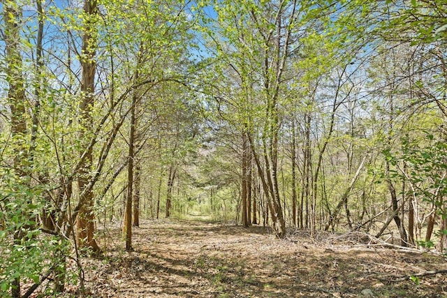 view of landscape with a forest view