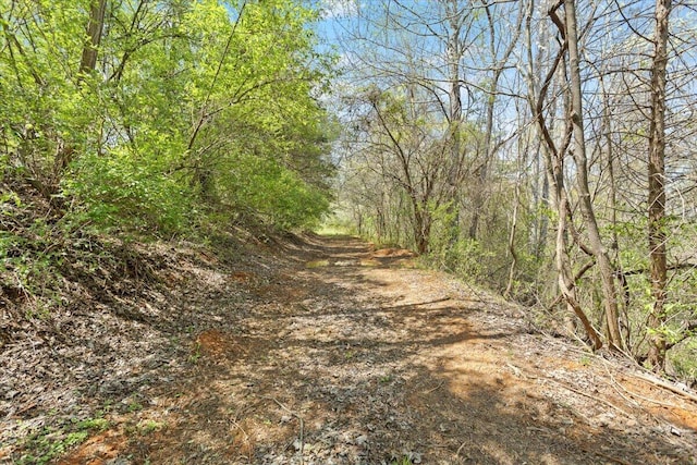 view of landscape featuring a forest view