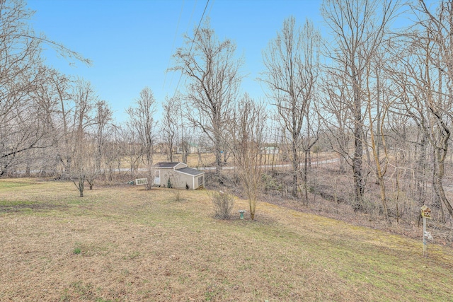 view of yard featuring a shed and an outbuilding