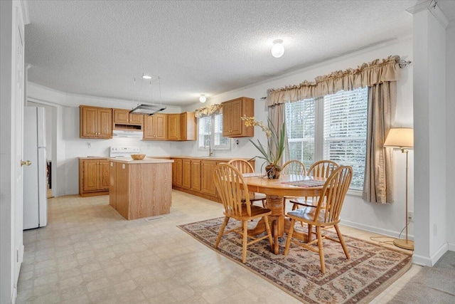dining area with baseboards, light floors, and a textured ceiling