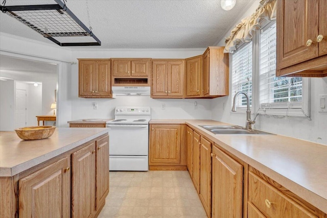 kitchen featuring light floors, under cabinet range hood, light countertops, a sink, and white electric stove