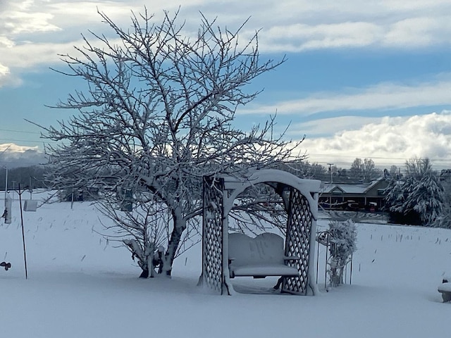 view of yard covered in snow