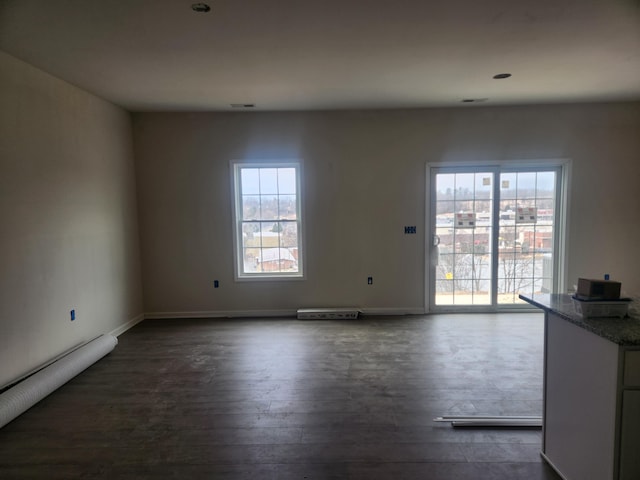 interior space featuring baseboards, dark wood-type flooring, and a wealth of natural light