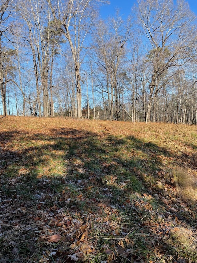 Listing photo 3 for LOT49 Lake View Pt, Glade Hill VA 24092