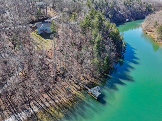 drone / aerial view with a water view and a view of trees