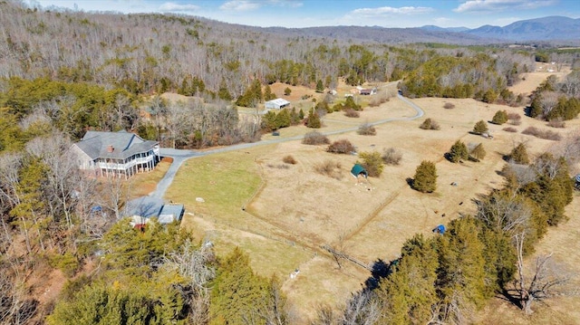 bird's eye view with a mountain view and a view of trees