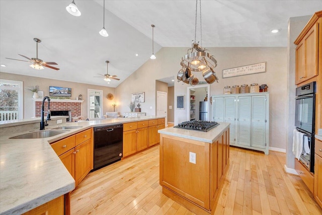 kitchen with black appliances, plenty of natural light, light wood finished floors, and a sink