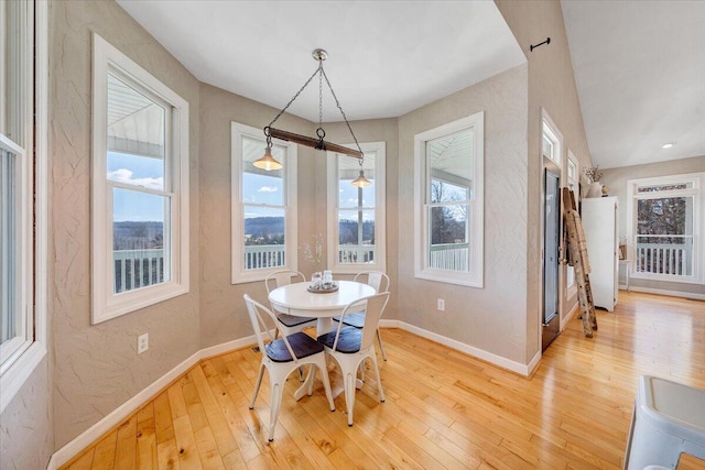 dining area featuring a healthy amount of sunlight, light wood-style floors, and baseboards