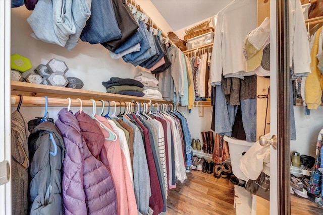 walk in closet with wood finished floors