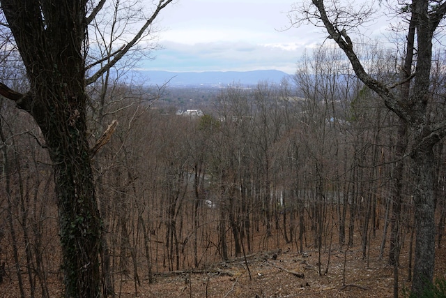 mountain view with a forest view