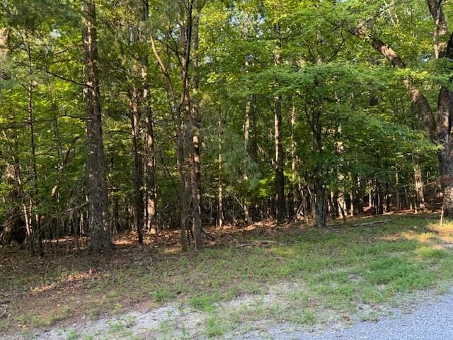 LOT22 Woodshire Dr, Blue Ridge VA, 24064 land for sale