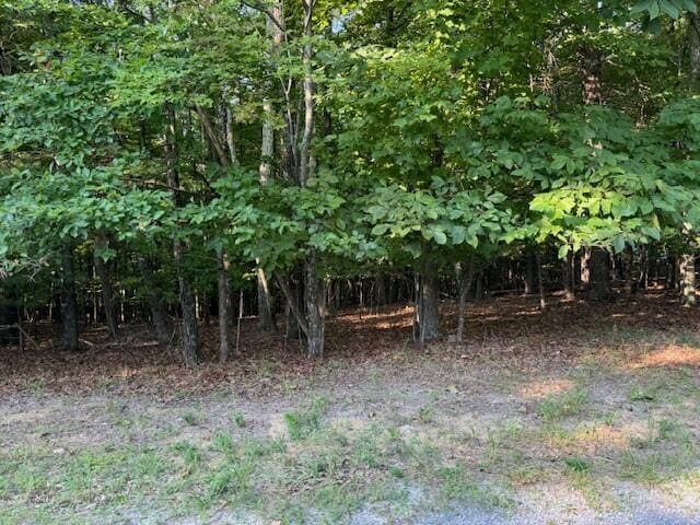 Listing photo 3 for LOT22 Woodshire Dr, Blue Ridge VA 24064