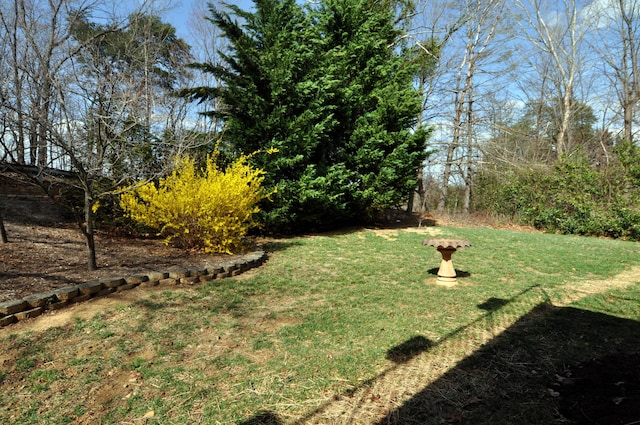 3370 Kelly Lane Ext, Roanoke, VA 24018 - view of grassy yard
