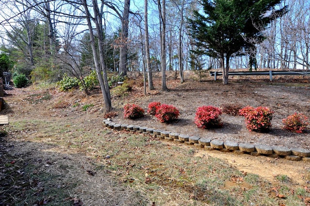 3370 Kelly Lane Ext, Roanoke, VA 24018 - view of yard
