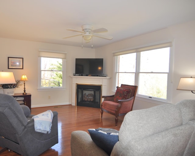 3370 Kelly Lane Ext, Roanoke, VA 24018 - living area with wood finished floors, ceiling fan, and a fireplace