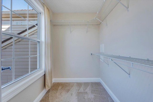 walk in closet featuring carpet floors