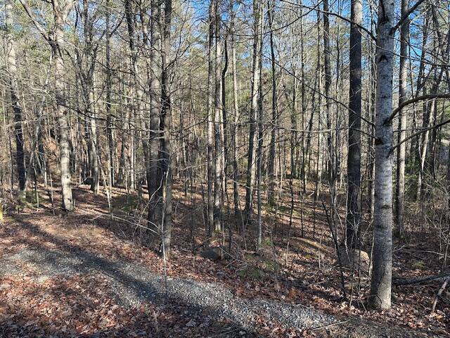 00 Hoot Owl Rd, New Castle VA, 24127 land for sale