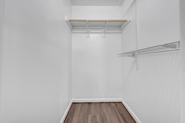 walk in closet featuring wood finished floors