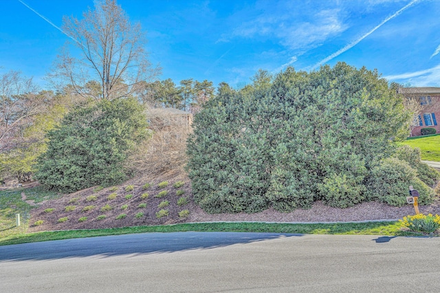5653 Orchard Valley Cir, Roanoke, VA 24018 - view of yard