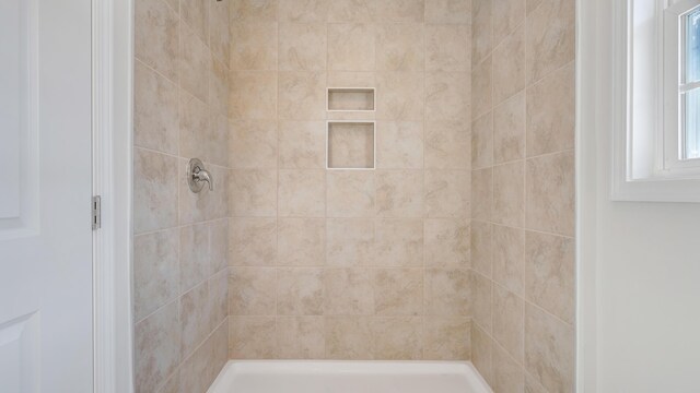 2809 Russlen Dr, Salem, VA 24153 - bathroom with tiled shower