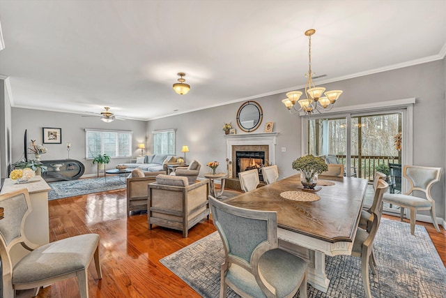 dining space with a warm lit fireplace, wood finished floors, ornamental molding, and ceiling fan with notable chandelier