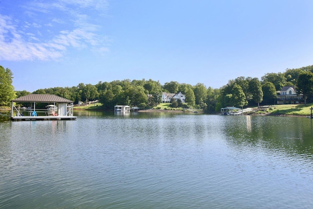 368 Penninsula Pt, Lynch Station, VA 24571 - water view with a dock and boat lift