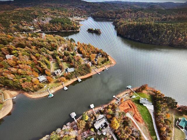 368 Penninsula Pt, Lynch Station, VA 24571 - aerial view of property's location with a nearby body of water and a forest