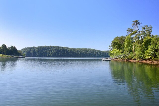 368 Penninsula Pt, Lynch Station, VA 24571 - water view with a forest