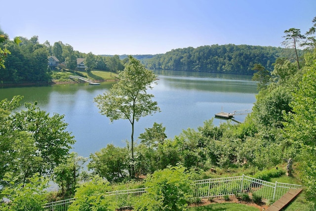 368 Penninsula Pt, Lynch Station, VA 24571 - water view with a forest and a dock