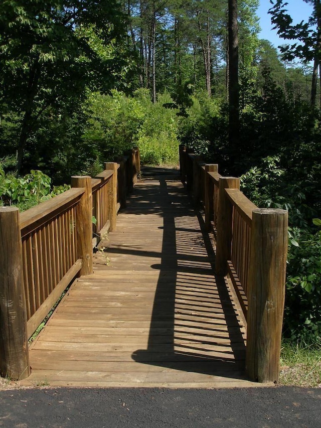368 Penninsula Pt, Lynch Station, VA 24571 - view of property's community
